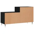 Armoire à chaussures Noir 102x36x60 cm Bois d'ingénierie