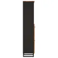 Armoire de salle de bain 38x33x160 cm bois massif récupération