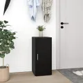 Armoire à chaussures Noir 32x35x70 cm Aggloméré