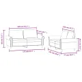 Ensemble de canapés 2 pcs avec coussins Gris clair Velours