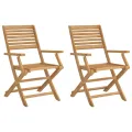 Chaises pliables de jardin 2 pcs bois massif d'acacia