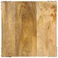 Table d’appoint 45x45x50 cm bois massif de manguier et fer
