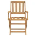 Chaises pliables de jardin 2 pcs bois massif d'acacia