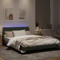 Cadre de lit avec lumières LED gris clair 120x200 cm velours