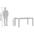 Table de jardin dessus en verre Noir 150x90x75cm Résine tressée