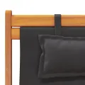 Chaises de plage pliables lot de 2 noir tissu