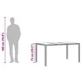 Table de jardin dessus en verre Noir 150x90x75cm Résine tressée