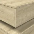 Table basse avec lumières LED chêne sonoma 50x50x40 cm