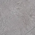 Planche de plancher PVC autoadhésif 5,21 m² 2 mm Gris terre
