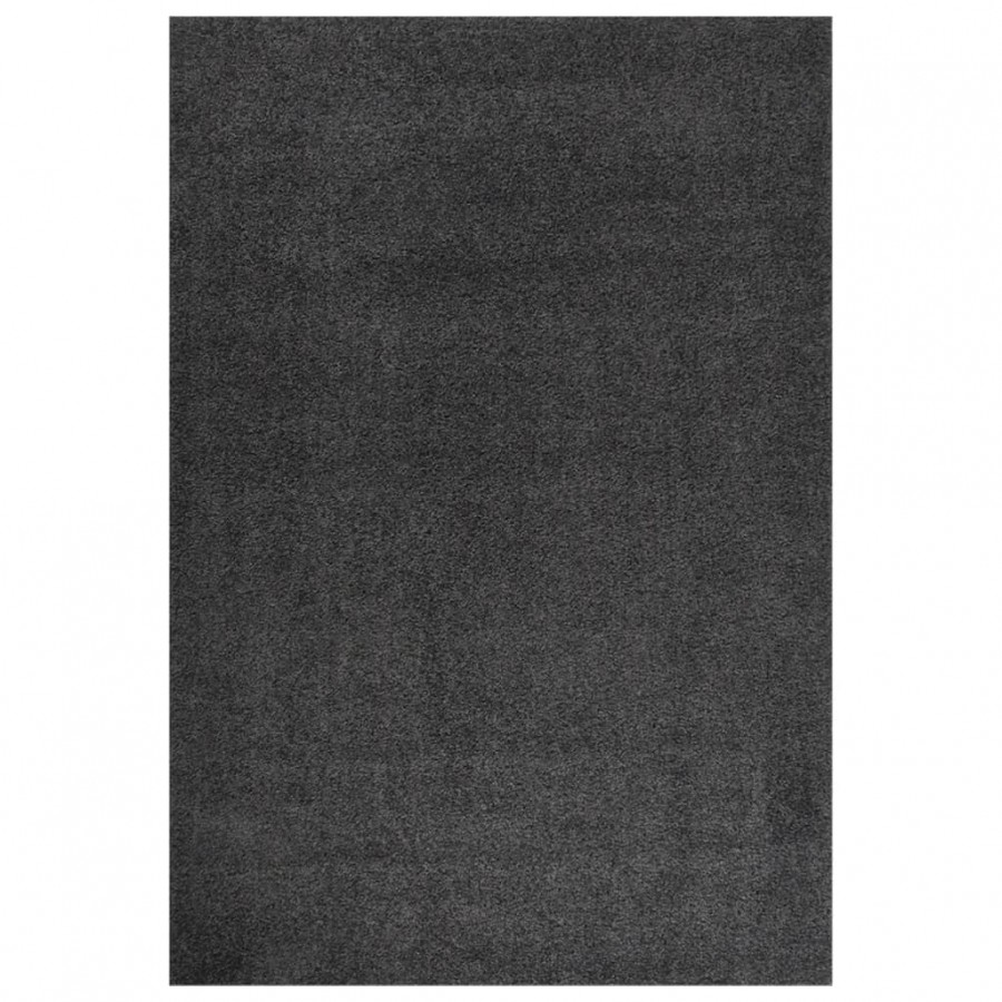 Tapis shaggy à poils longs Anthracite 160x230 cm