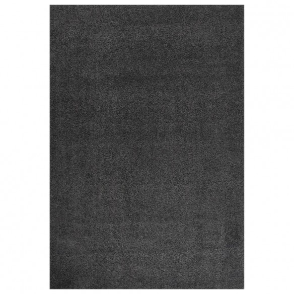 Tapis shaggy à poils longs Anthracite 160x230 cm