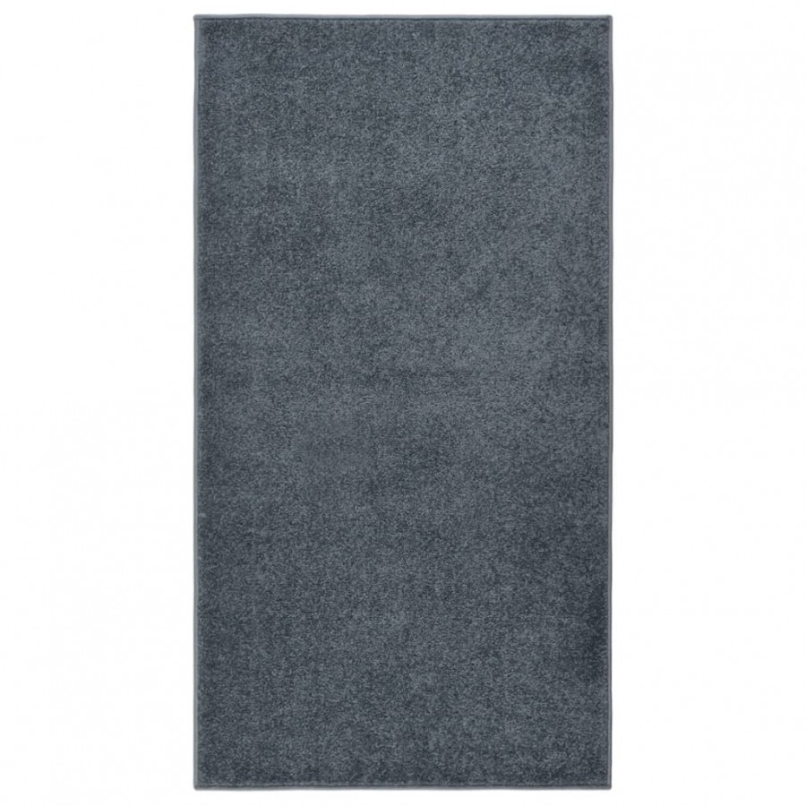 Tapis à poils courts 80x150 cm Anthracite