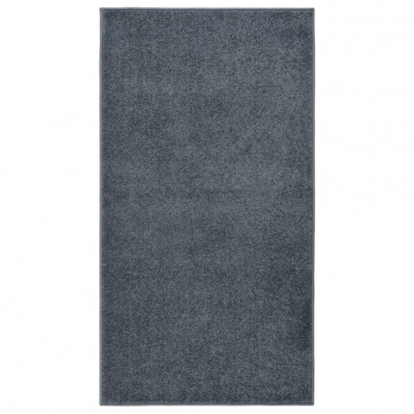 Tapis à poils courts 80x150 cm Anthracite