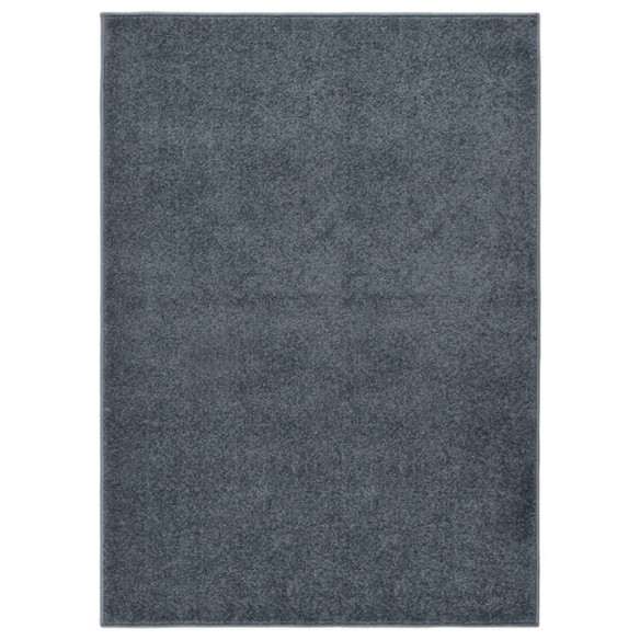 Tapis à poils courts 120x170 cm Anthracite