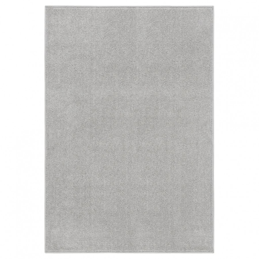 Tapis à poils courts 200x290 cm Gris clair