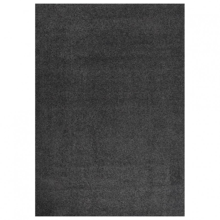 Tapis shaggy à poils longs Anthracite 120x170 cm