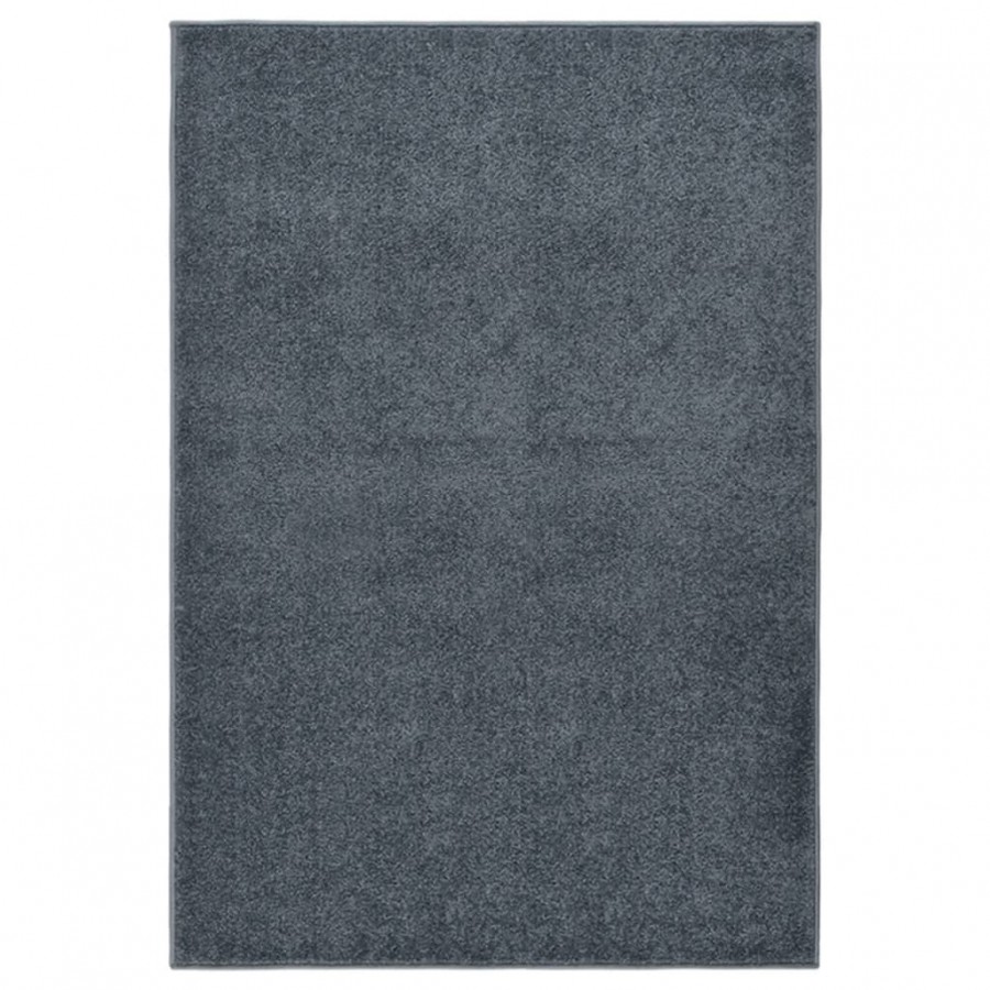 Tapis à poils courts 160x230 cm Anthracite