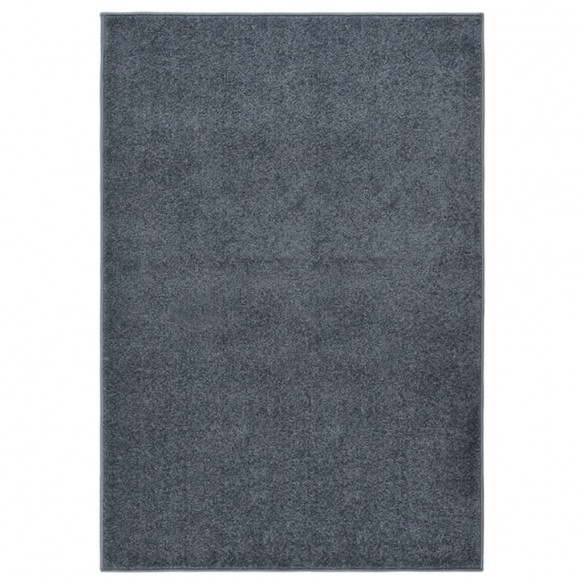 Tapis à poils courts 160x230 cm Anthracite