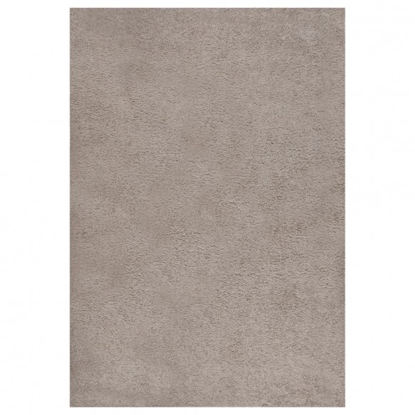 Tapis shaggy à poils longs Beige 160x230 cm