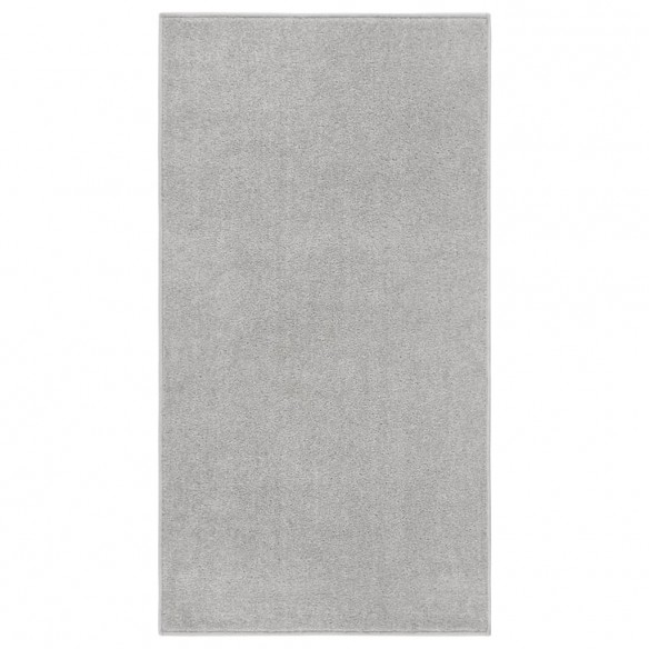 Tapis à poils courts 80x150 cm Gris clair