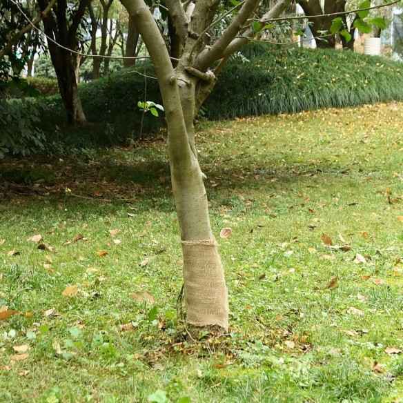 Rouleau de jute 0,25x25 m 100 % jute 200 g/m²