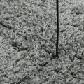 Tapis shaggy à poils longs moderne vert 140x200 cm