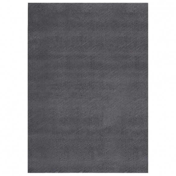 Tapis shaggy doux lavable 120x170 cm Antidérapant Anthracite