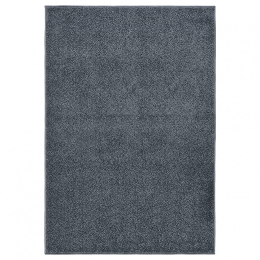 Tapis à poils courts 200x290 cm Anthracite