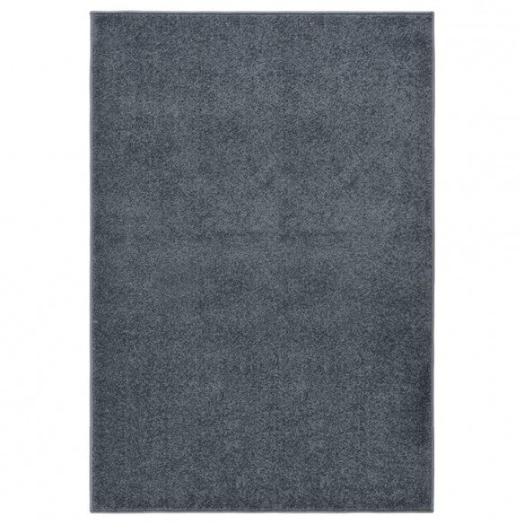 Tapis à poils courts 200x290 cm Anthracite