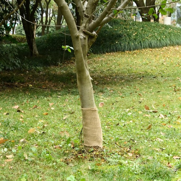 Rouleau de jute 0,25x5 m 100 % jute 200 g/m²