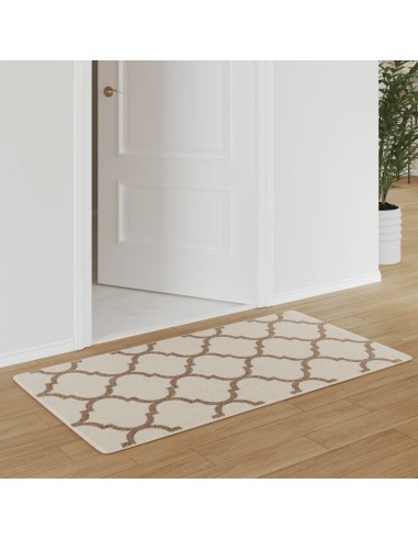 Tapis intérieur extérieur à poils courts 80x150 cm antidérapant