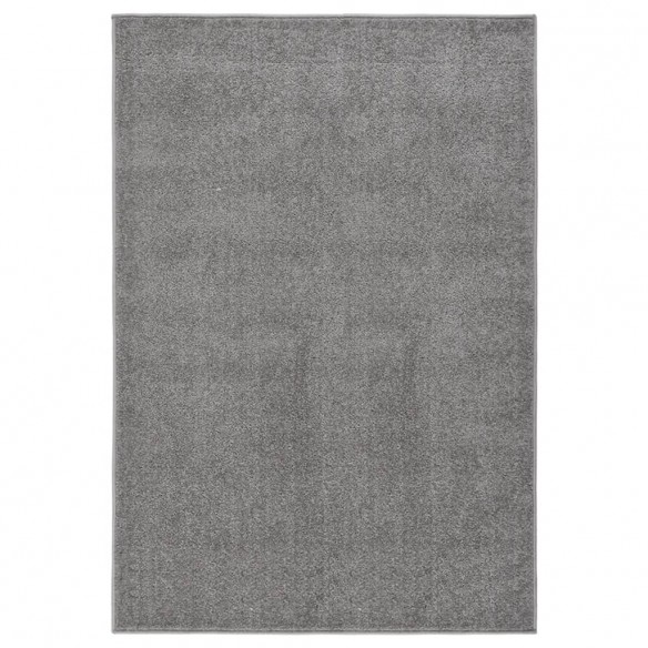 Tapis à poils courts 160x230 cm Gris