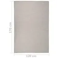 Tapis à tissage plat d'extérieur 120x170 cm Taupe