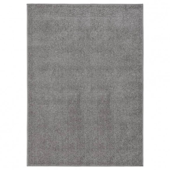 Tapis à poils courts 120x170 cm Gris