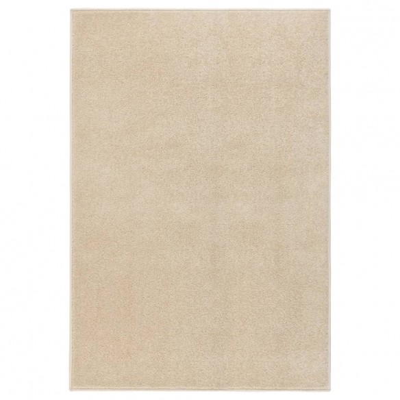 Tapis à poils courts 200x290 cm Beige