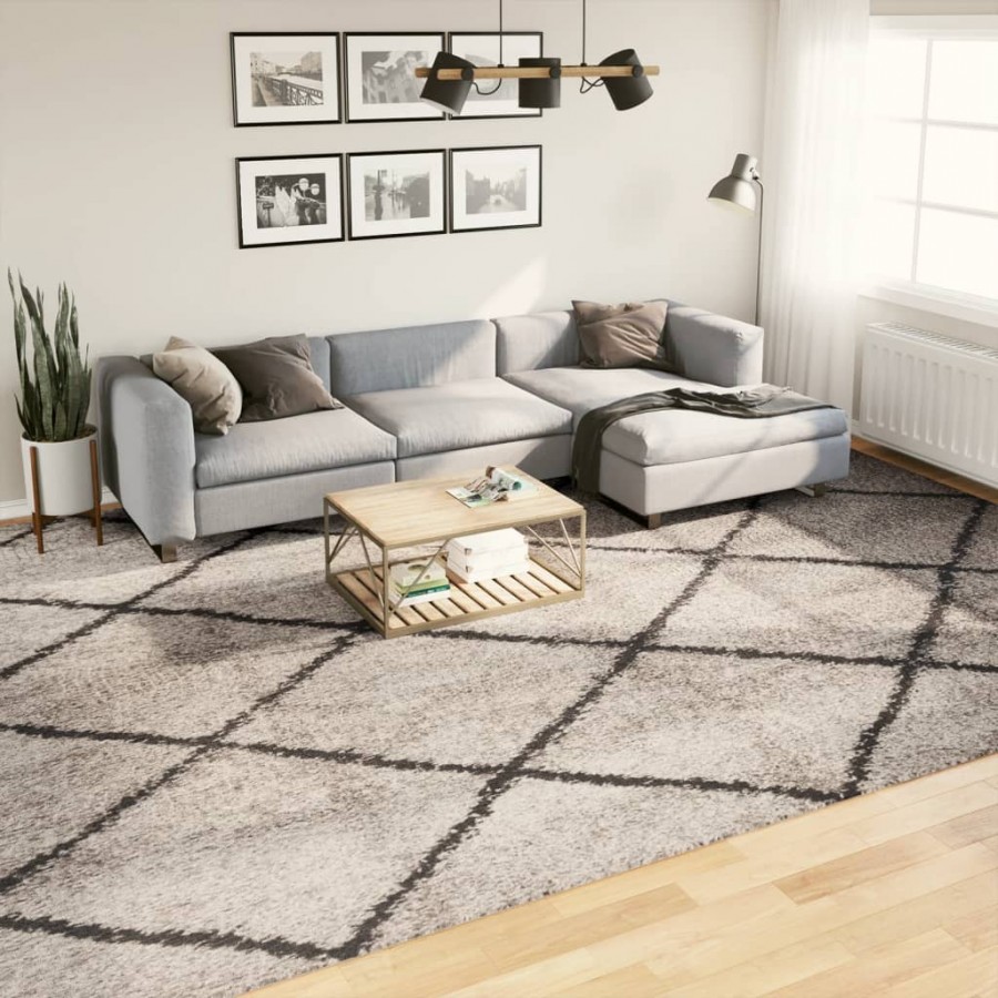 Tapis shaggy à poils longs moderne beige anthracite 300x400 cm