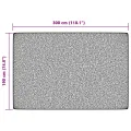 Tapis intérieur extérieur à poils courts 190x300cm antidérapant