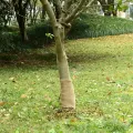 Rouleau de jute 0,25x50 m 100 % jute 200 g/m²