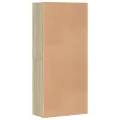 Armoire à chaussures Chêne sonoma 80x39x178cm Bois d'ingénierie