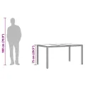 Table de jardin dessus en verre Gris 150x90x75cm Résine tressée