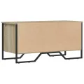 Armoire à chaussures chêne sonoma 90x38x45,5 cm