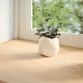 Appuis de fenêtre 2 pcs non traité 100x30x2cm bois chêne massif