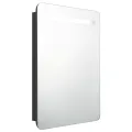 Armoire de salle de bain à miroir LED noir 60x11x80 cm