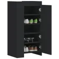 Armoire à chaussures noir 52x37,5x100 cm bois d'ingénierie