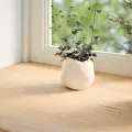 Appuis de fenêtre 2 pcs non traité 90x25x2 cm bois chêne massif