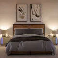 Armoires de chevet et lumières LED 2 pcs chêne sonoma