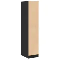 Armoire d'apothicaire noir 30x41x144,5 cm bois d'ingénierie