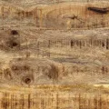 Table basse 90x50x36 cm bois de manguier massif brut