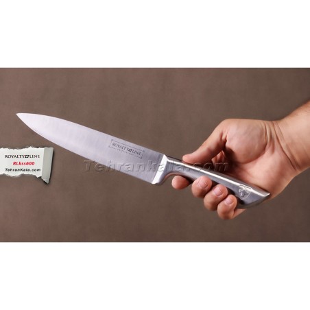 Ensemble de couteaux de cuisine et support Royalty Line Argenté Acier