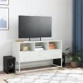 Meuble TV blanc 100,5x39x60,5 cm acier